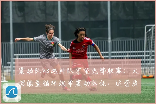 震动队vs燃料队守望先锋联赛：大招能量循环效率震动队优，运营质量差距
